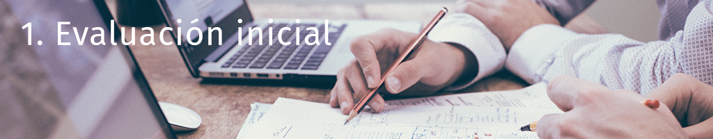 Evaluacion proyecto a medida